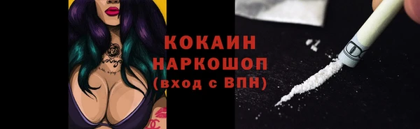 шишки Армянск