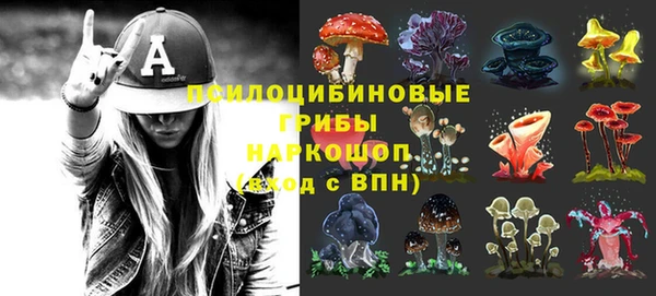 сатива Аркадак
