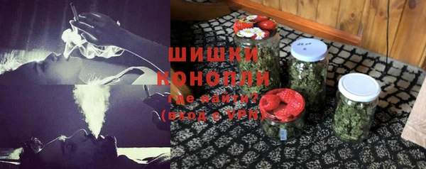 сатива Аркадак